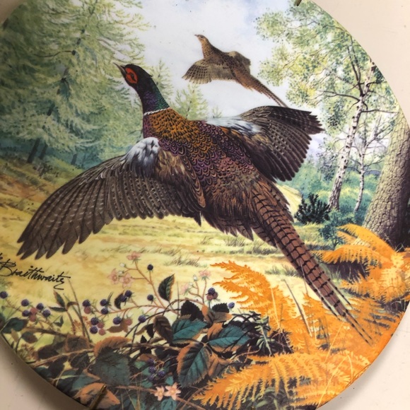 Royal crafton made innEnglamd, fine china. Certificate of authority set of 18 pl - Picture 9 of 16